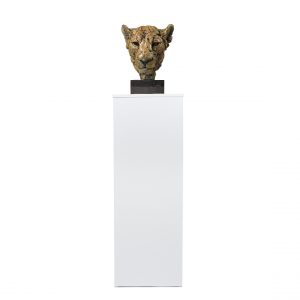 Collapsible Product Plinth