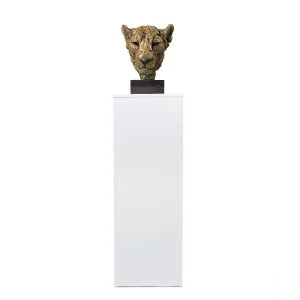 Collapsible Product Plinth