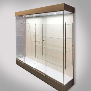 Frameless Glass Display Cases