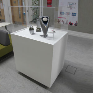 Exhibit Display Case