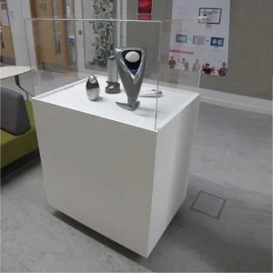 Exhibit Display Case