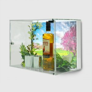 Wall Mounted Display Case with Illumination