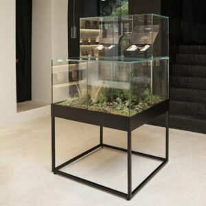 Contemporary Glass Terrarium with Black metal base in modern minimalist room with beaty products on display.