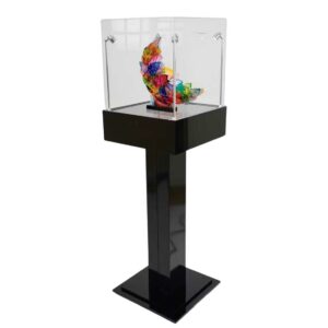 A black and clear acrylic display plinth with a decorative ornament inside.