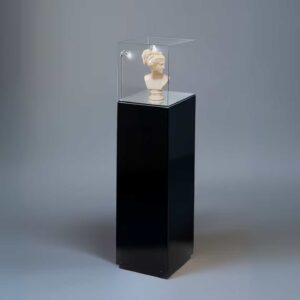 A black plinth with protective cover and head sculpture display.