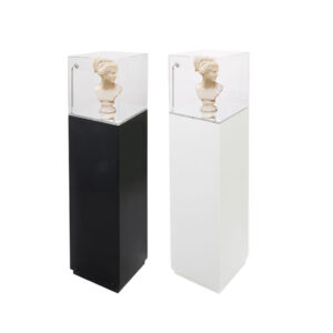 One white display plinth with mirrored top and clear display case with LED Lights. One black display plinth with mirrored top and clear display case with LED Lights. Both display plinths have a head sculpture inside.